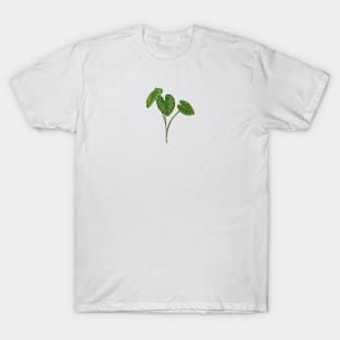 Colocasia Botanical T-Shirt